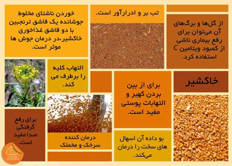 فواید خاکشیر