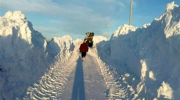 تلاش راهداران برای پاکسازی جاده کرج - چالوس / ریزش بهمن جاده را بست