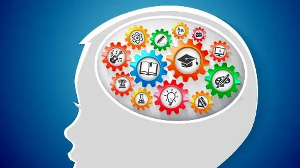 چگونه مغز ما یاد می‌گیرد؟ کشف فرآیند یادگیری!