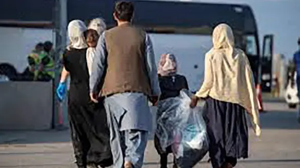 طرح تأسیس سازمان ملی مهاجرت به زودی در صحن مجلس بررسی می‌شود/ به اتباع «اقامت دائم» نمی‌دهیم