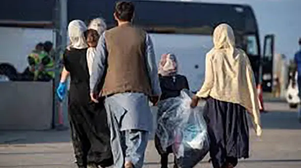 طرح تأسیس سازمان ملی مهاجرت به زودی در صحن مجلس بررسی می‌شود/ به اتباع «اقامت دائم» نمی‌دهیم