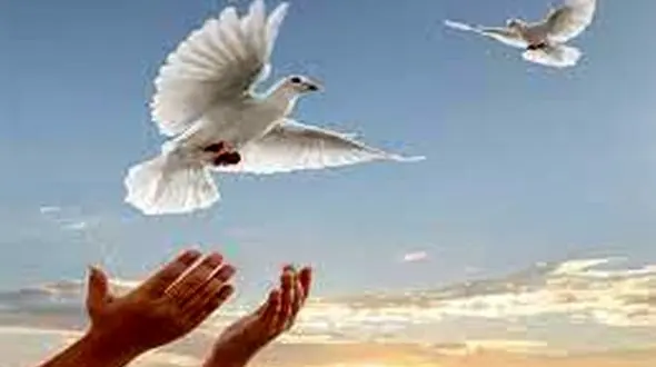 پایان زندگی 2 مادر در زندان یزد/ دانشجویان یزدی گل کاشتند + جزییات