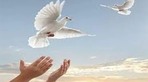پایان زندگی 2 مادر در زندان یزد/ دانشجویان یزدی گل کاشتند + جزییات