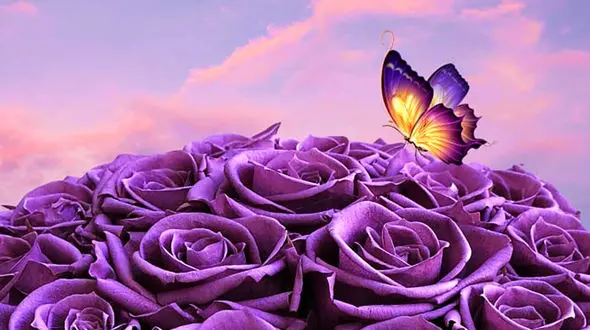 فال ابجد امروز / 18 آبان ماه + فیلم 