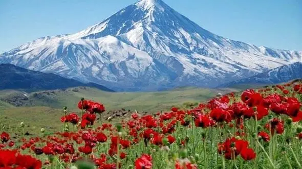 
جزئیات ماجرای وقف دماوند 
