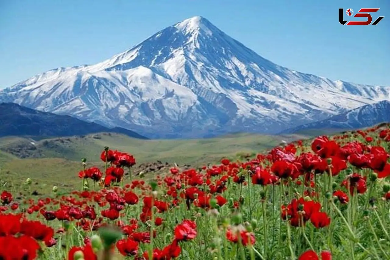 
جزئیات ماجرای وقف دماوند 

