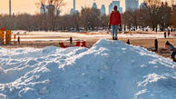 تورنتو؛ آیا کریسمس بدون برفی در راه است؟ 
