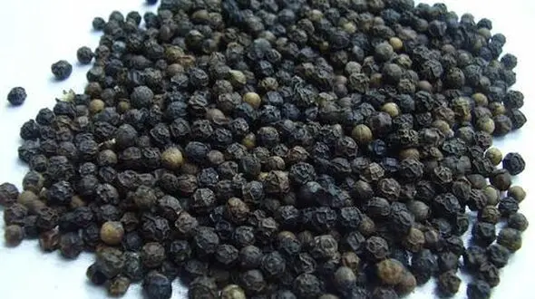 سنگ کلیه را سه سوته نابود کنید