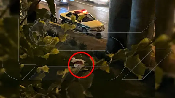 خودکشی دلخراش در اتوبان امام علی / دختر جوان از پل عابر پیاده به پایین پرتاب شد