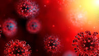 Over 10,000 new coronavirus cases detected in Iran