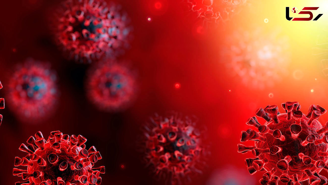 Over 10,000 new coronavirus cases detected in Iran