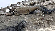 ماجرای جسد بی انگشت در زیر خاک!