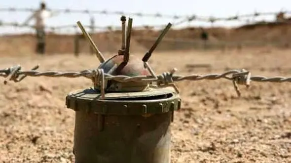 مچ پای جوان پاوه ای در باغ انار قطع شد