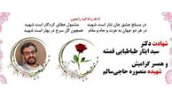 دومین استاد هسته‌ای دانشگاه صنعتی شریف شهید شد