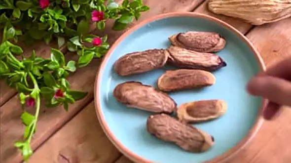 هسته انبه رو دور نریز! / فیلم