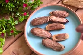 هسته انبه رو دور نریز! / فیلم