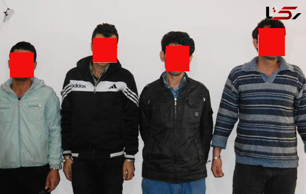 دزدان در روز روشن با بیل مکانیکی به سرقت می رفتند +عکس