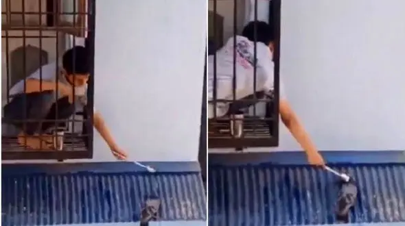 اقدام زیبای پسر بچه برای سیراب کردن کبوتر + فیلم 