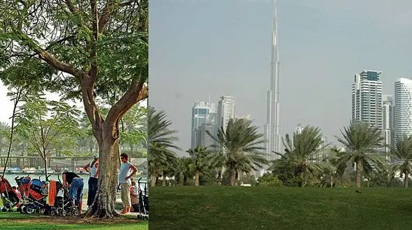 جذابترین و  لدت بخش ترین پارک دبی برای جهانگردان +تصاویر 
