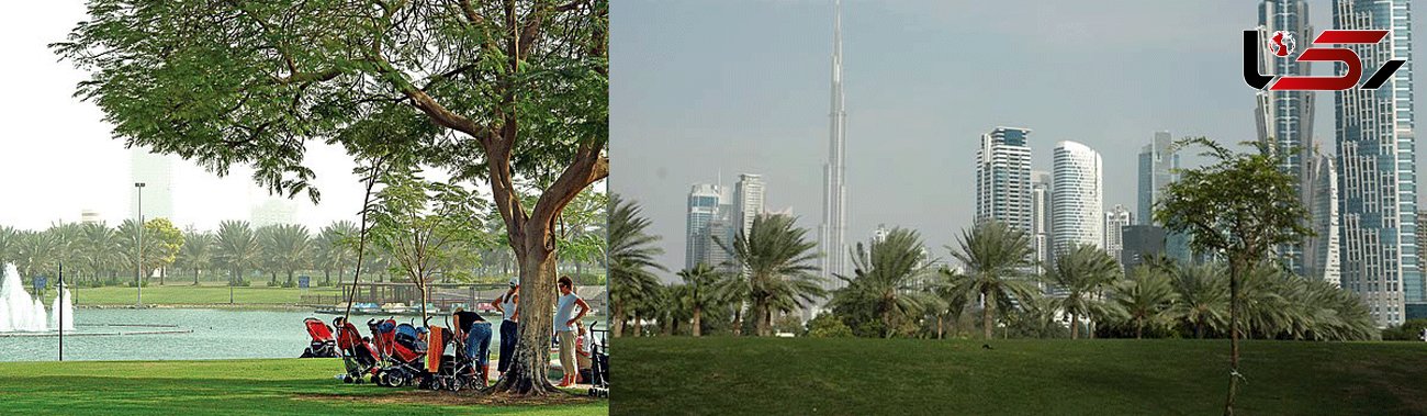 جذابترین و  لدت بخش ترین پارک دبی برای جهانگردان +تصاویر 
