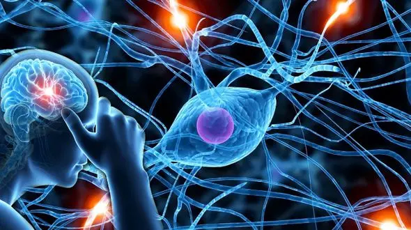 بیماری کشنده ای که زنان را بیشتر از مردان نشانه می گیرد