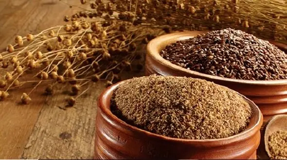 مقابله با سرطان با تخم کتان