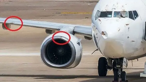 سقوط مرگبار هواپیما بوئینگ 737 به دلیل برخورد پرنده+ عکس