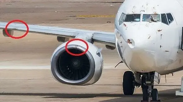 سقوط مرگبار هواپیما بوئینگ 737 به دلیل برخورد پرنده+ عکس