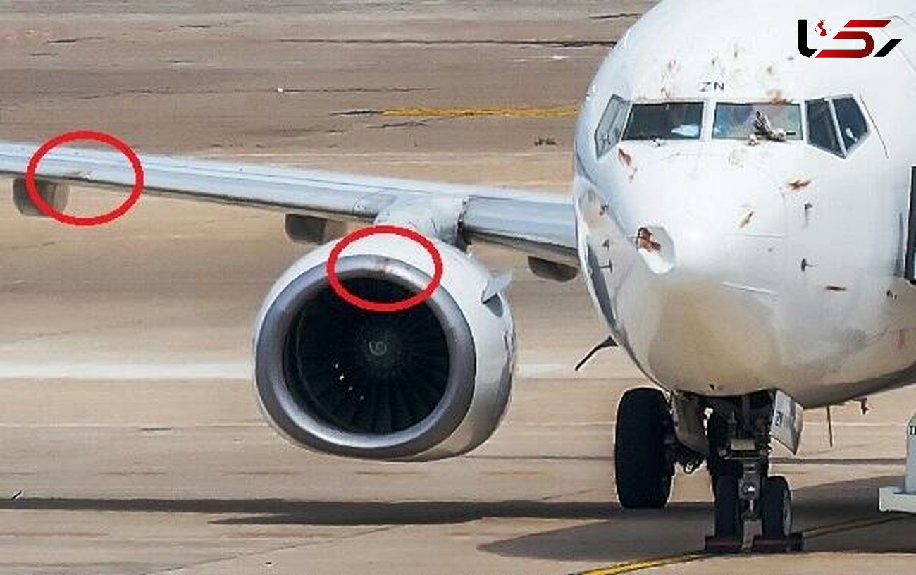 سقوط مرگبار هواپیما بوئینگ 737 به دلیل برخورد پرنده+ عکس