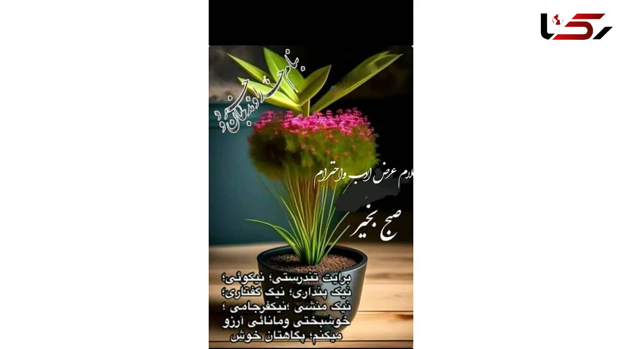 فال و طالع اول اردیبهشت + فیلم