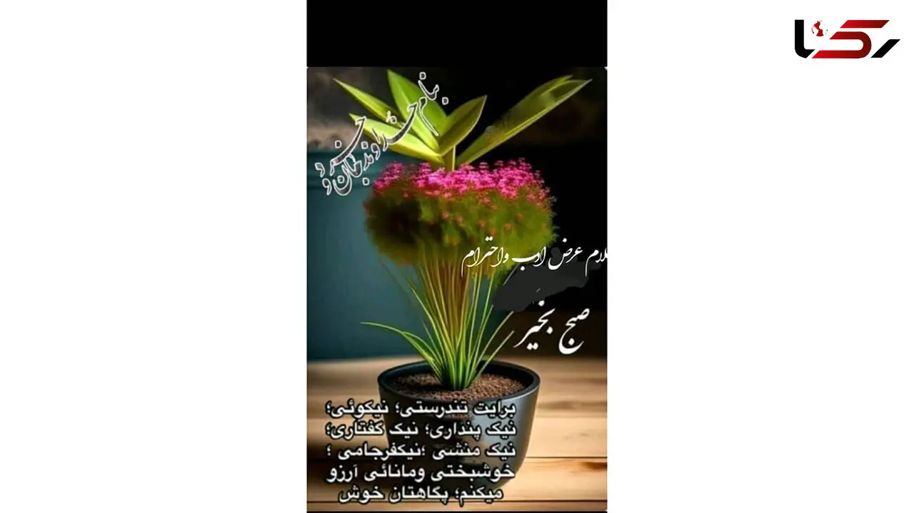 فال و طالع اول اردیبهشت + فیلم