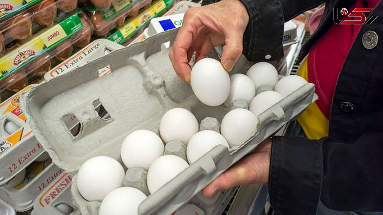 قیمت تخم مرغ بسته بندی اعلام شد