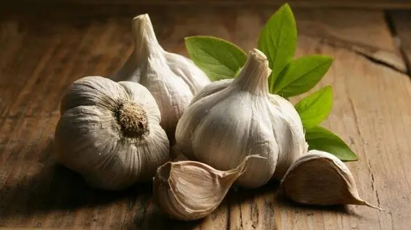 بدبویی که دشمن سرطان است