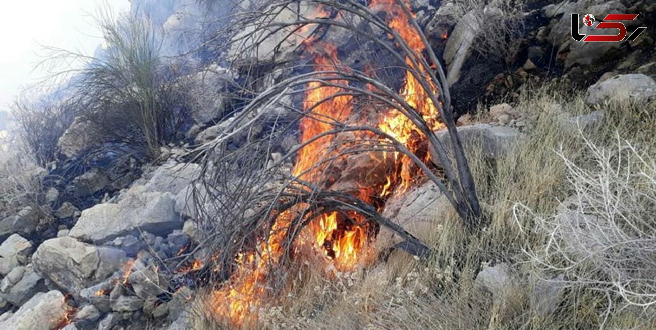 آتش سوزی در ارتفاعات روستای ویله