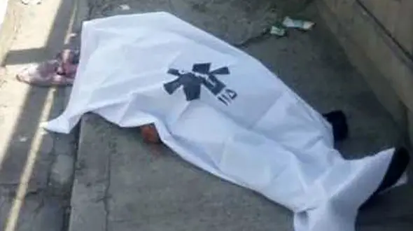 مرگ تلخ عابر ۷۰ ساله زیر چرخ‌های وانت پراید / در خلیج فارس تهران رخ داد