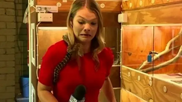 حمله مار وحشی به میکروفن خانم خبرنگار + فیلم / استرالیا