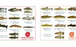 10 گونه از ماهی های اختصاصی ایران در طبقه بندی «به شدت در خطر انقراض» و 18 گونه «در خطر انقراض» قرار دارند / سازمان محیط زیست در خواب! + عکس و جزئیات