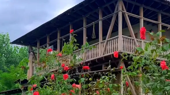 ببینید / مناظر زیبای لاهیجان + فیلم 