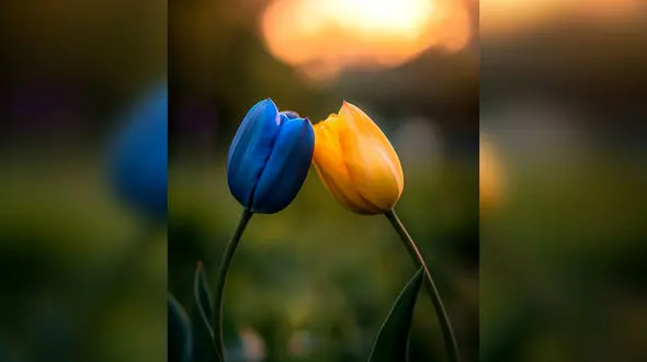 فال و طالع بینی روزانه 15 فروردین + فیلم 