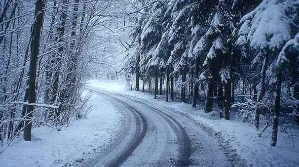 برف و سکوت؛ زرشوران در قاب طبیعت + فیلم