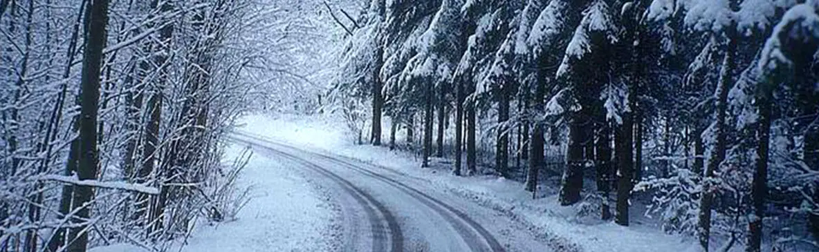 برف و سکوت؛ زرشوران در قاب طبیعت + فیلم