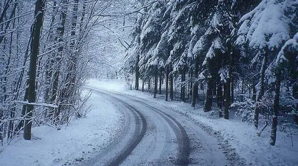 برف و سکوت؛ زرشوران در قاب طبیعت + فیلم