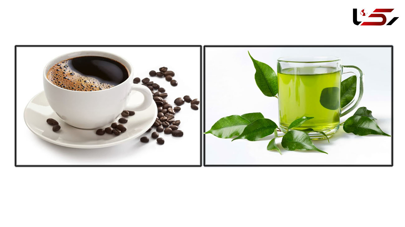 خواص و مضرات چای سبز و قهوه چیست؟ 