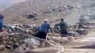 فیلم / صحنه دلخراش شکار بی رحمانه دسته‌های بزرگ گنجشک در افغانستان 
