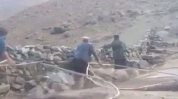 فیلم / صحنه دلخراش شکار بی رحمانه دسته‌های بزرگ گنجشک در افغانستان 