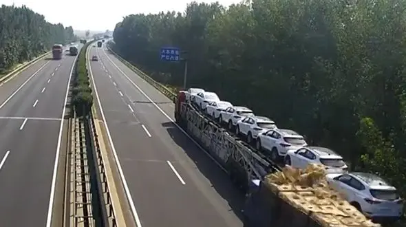 قتل عام اردک ها در بزرگراه + فیلم