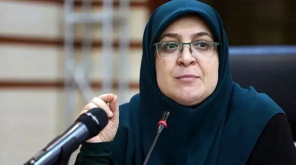 مهاجرانی: دولت کارگروه‌هایی برای رفع موانع تولیدکنندگان تشکیل داده است