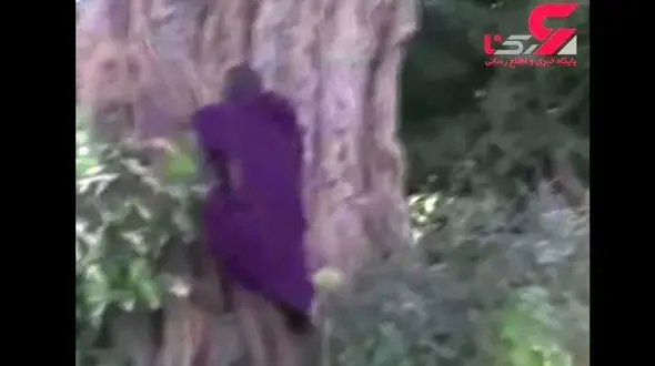 مرگ درختان کهنسال آفریقا به دلیل تغییرات آب و هوایی + فیلم 