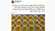 توزیع شله زرد انگلیسی  در تهران! + عکس
