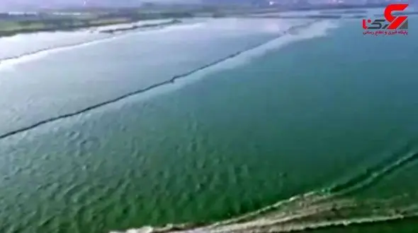 راز سبز شدن ناگهانی آب یک دریاچه در چین اعلام شد!+تصویر